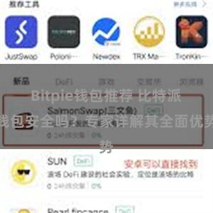 Bitpie钱包推荐 比特派钱包安全吗？专家详解其全面优势