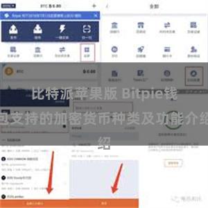 比特派苹果版 Bitpie钱包支持的加密货币种类及功能介绍