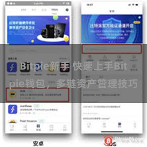 Bitpie新手 快速上手Bitpie钱包，多链资产管理技巧