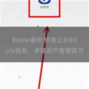 Bitpie备份 快速上手Bitpie钱包，多链资产管理技巧