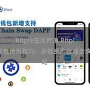 Bitpie在线管理 Bitpie钱包使用技巧：多链资产管理全攻略