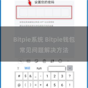 Bitpie系统 Bitpie钱包常见问题解决方法