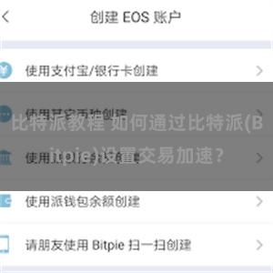 比特派教程 如何通过比特派(Bitpie)设置交易加速？